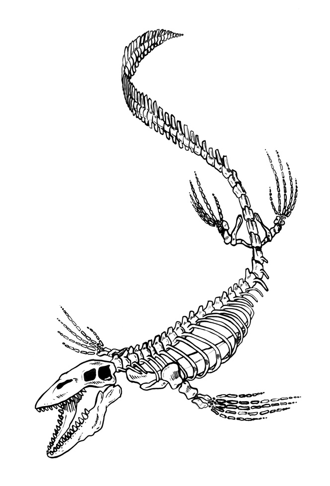 'Tylosaur', pen and ink tattoo design, 2015